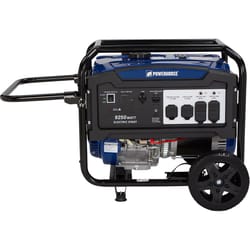 Powerhorse 120 V Gas Generator