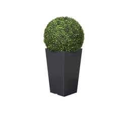 DW Silks 32 in. H X 16 in. L Green Polyester Boxwood Ball in Black Planter