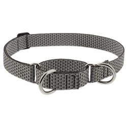 LupinePet Eco Granite Recycled Polyester Dog Martingale