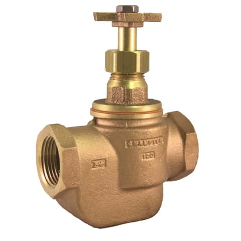 Champion Anti-Siphon Valve 3/4 in. 150 psi - Ace Hardware