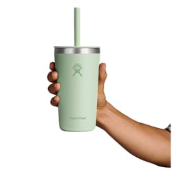 Hydroflask All Around 20 fl. oz. Aloe BPA Free Tumbler with Straw Lid