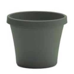 Bloem Terra 7.25 in. H X 8.75 in. W X 6 in. D Plastic Traditional Planter Green