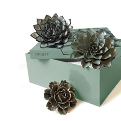 Chive Ceramic Flowers 2.9 in. H X 13.3 in. L Glazed Blue Ceramic Night Box Set