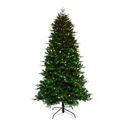 Celebrations 7 ft. Slim LED 400 ct Fraser Fir Color Changing Christmas Tree
