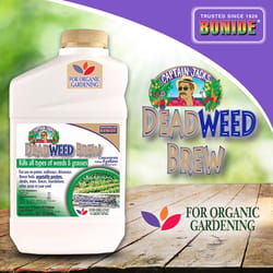 Bonide Captain Jack's Broadleaf Herbicide RTU Liquid 32 oz