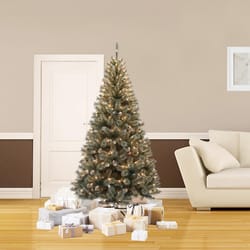 Celebrations 7 ft. Full Incandescent 400 lights Frosted Cashmere Christmas Tree
