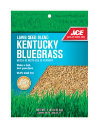 Ace Kentucky Bluegrass Full Sun Grass Seed 1 lb