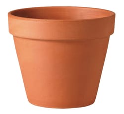 Deroma 7.9 in. H X 8 in. D Clay Traditional Planter Terracotta