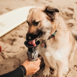 Highwave AutoDogMug Stone Gray Plastic 22 oz Portable Watering Bottle/Bowl For Dogs