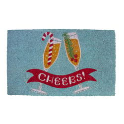 Entryways 17 in. W X 28 in. L Aqua cheers Coir Door Mat