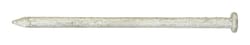 Ace 12D 3-1/4 in. Common Hot-Dipped Galvanized Steel Nail Flat Head 1 lb
