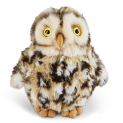 Living Nature Little Owl Multicolored