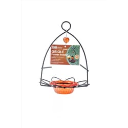 Birds Choice Oriole 0.18 lb Plastic/Steel Hanging Bird Feeder
