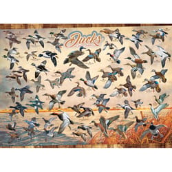 Cobble Hill Ducks of North America Jigsaw Puzzle 1000 pc