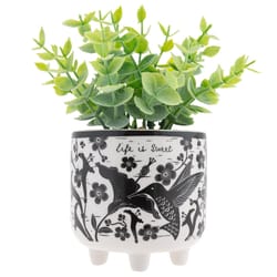 Karma 7 in. H X 6 in. W X 6 in. L Black/White Ceramic/Plastic Hummingbird Footed Pot