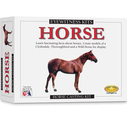 SD Toyz Eyewitness Kits Horse Multicolored