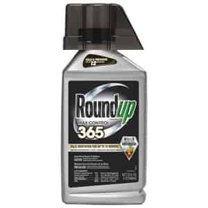 Roundup  Max Control 365  RTU Liquid  Vegetation Killer  32 oz. 