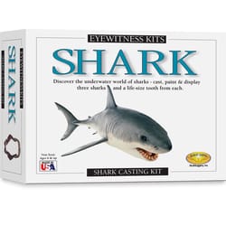 SD Toyz Eyewitness Kits Shark Multicolored
