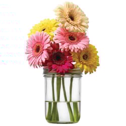 Jarware 0.25 in. H X 3.25 in. L Green Plastic Mason Jar Flower Grid