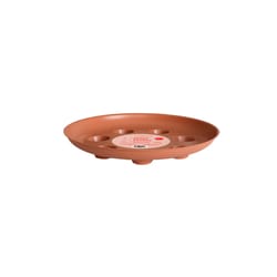 Everspring 5 in. H X 10 in. W X 10 in. D Plastic Plant Saucer Terracotta