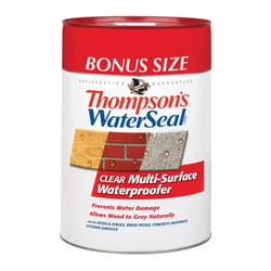 Thompson's WaterSeal Clear Multi-Surface Waterproofer Clear Water-Based Multi-Surface Waterproofer 6