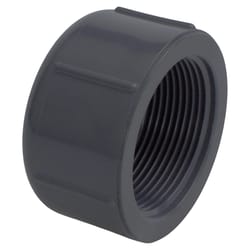 Charlotte Pipe Schedule 80 1/2 in. FPT X 1/2 in. D FPT PVC Threaded Cap 1 pk