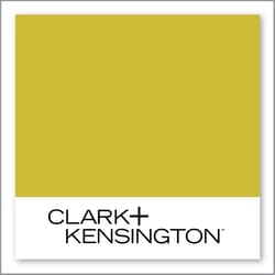 Clark+Kensington Fruit Slice 24D-4