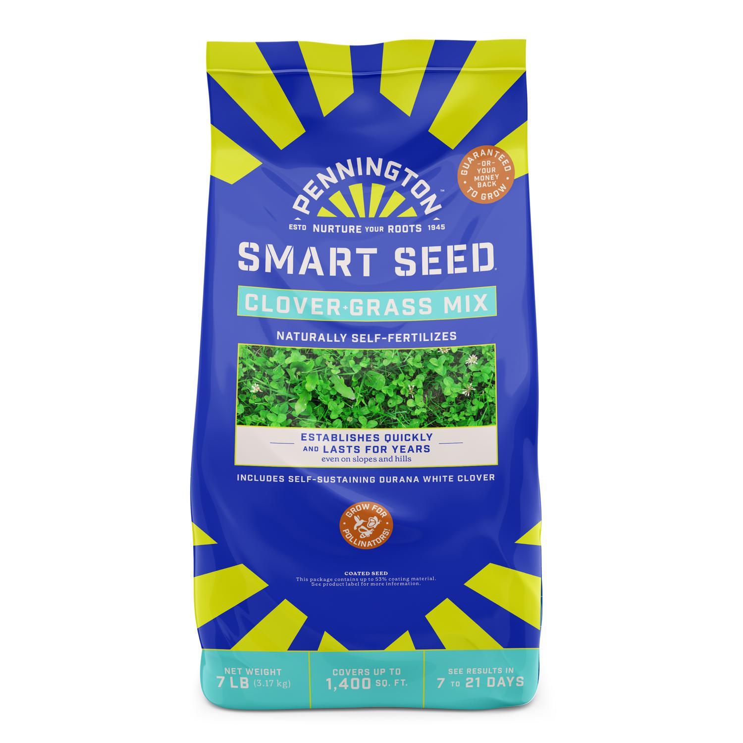 Pennington Smart Seed Clover Grass Mix Full Sun/Light Shade Grass Seed ...