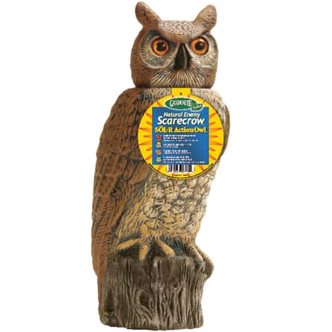Coupon Codes for Screech Owl Studio, Promo Codes, Discount Coupons