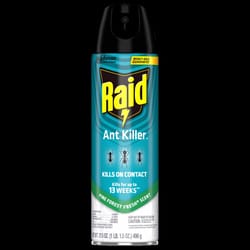 Raid Ant Killer Aerosol 17.5 oz