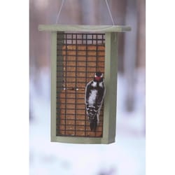 Birds Choice Green Solutions Woodpecker 1 lb Plastic Suet Double Suet Basket