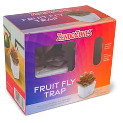 ZendoZones Fruit Fly Trap 1 box