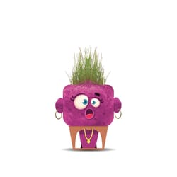 Plant Pals Monsters Grass Plant 1 pk