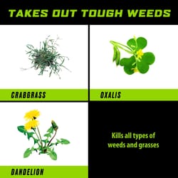 Ortho GroundClear Weed and Grass Killer RTU Liquid 24 oz