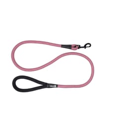 Alcott Red Rope Nylon Dog Leash Large