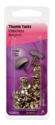 HILLMAN 0.375 in. L Silver Steel Thumb Tacks 40 pk