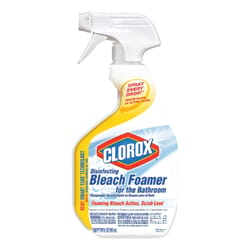 Clorox Ace Hardware