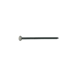 Grip-Rite 8D 2-1/2 in. Box Bright Steel Nail Flat Head 30 lb