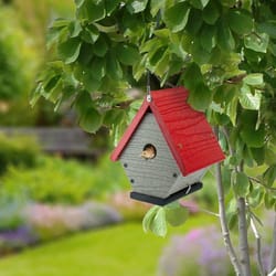 Woodlink Going Green 8.25 in. H X 7.125 in. W X 6.5 in. L Plastic Bird House