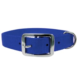 PDQ Blue Single Web Nylon Dog Adjustable Collar Large