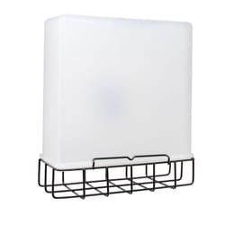 Songbird Essentials Plastic/Wire Cage Suet Bird Feeder