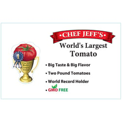 Chef Jeff Red Special  World's Largest Tomato Vegetable Plant