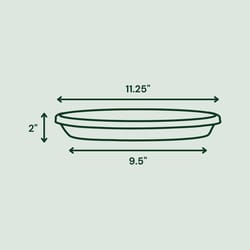 Bloem Terra 2 in. H X 11.25 in. W X 9.5 in. D Plastic Traditional Plant Saucer Green