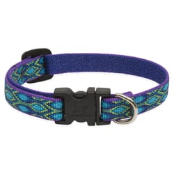 LupinePet Original Designs Multicolor Rain Song Nylon Dog Adjustable Collar