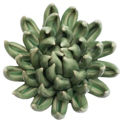 Chive English Garden 2.6 in. H X 5 in. W X 5 in. L Glazed Green Ceramic Large Succulent Wall Flower