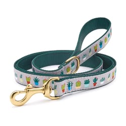 Up Country Gray/Green Planted Nylon Dog Leash