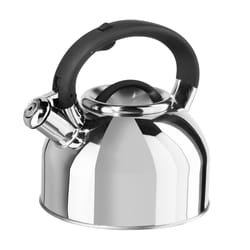 OGGI 64 oz Silver Tea Maker