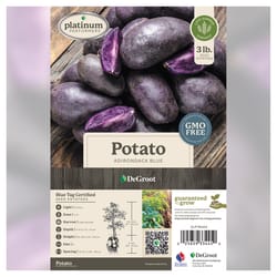 DeGroot Adirondack Potato Bulb 1 pk