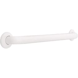 Delta 25.85 in. L ADA Compliant Stainless Steel Grab Bar