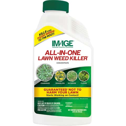 Lilly Miller Image Weed Killer Concentrate 24 oz - Ace Hardware